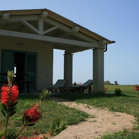 Agriturismo Podere 678 Grosseto Kültér fotó