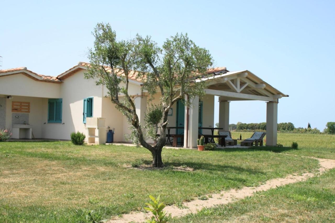 Agriturismo Podere 678 Grosseto Kültér fotó