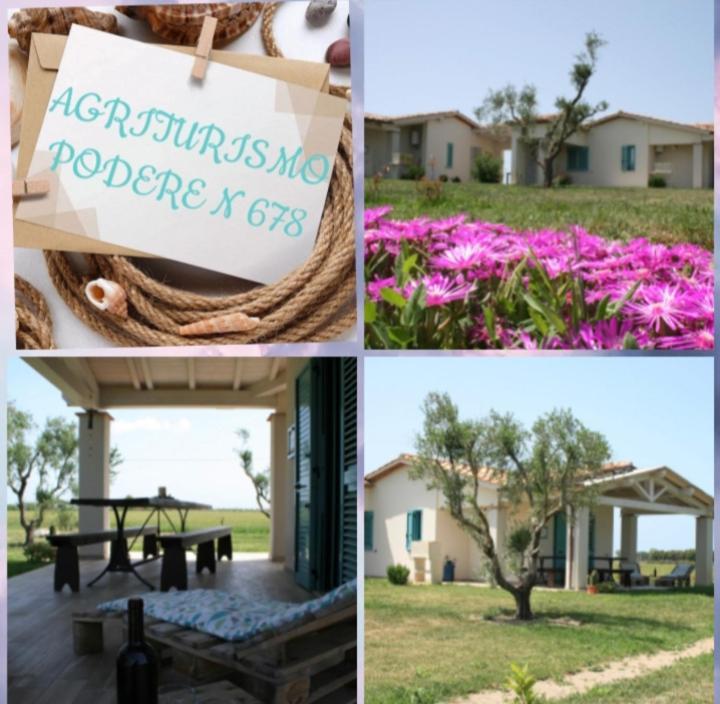 Agriturismo Podere 678 Grosseto Kültér fotó