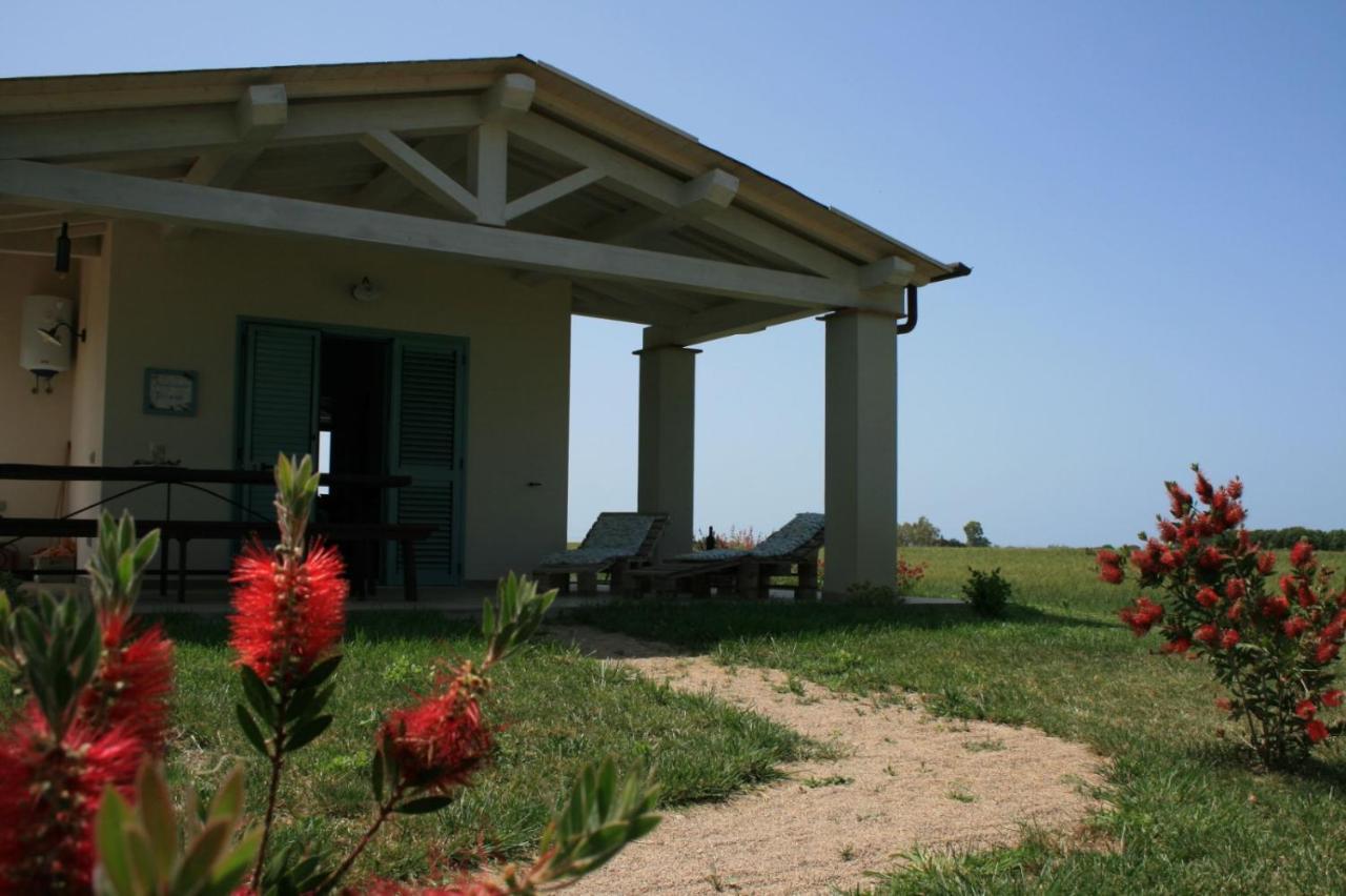 Agriturismo Podere 678 Grosseto Kültér fotó