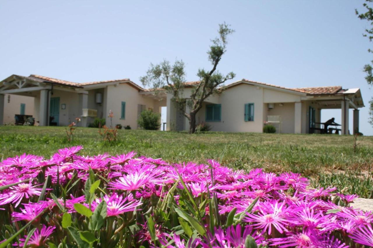 Agriturismo Podere 678 Grosseto Kültér fotó
